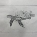 concussion art | turtle