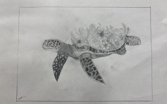 concussion art | turtle