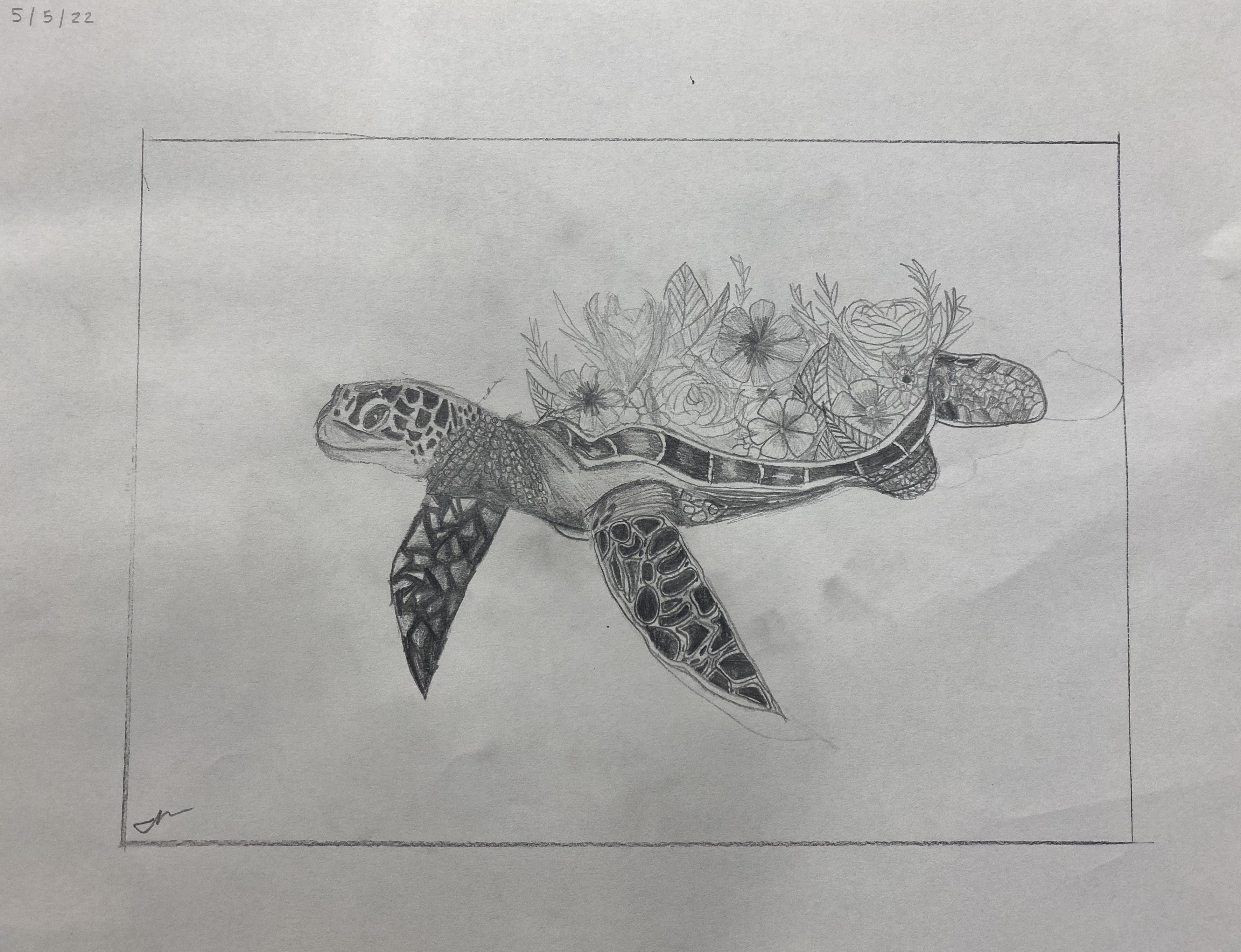 concussion art | turtle